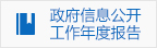 政府情報公開事業年次報告