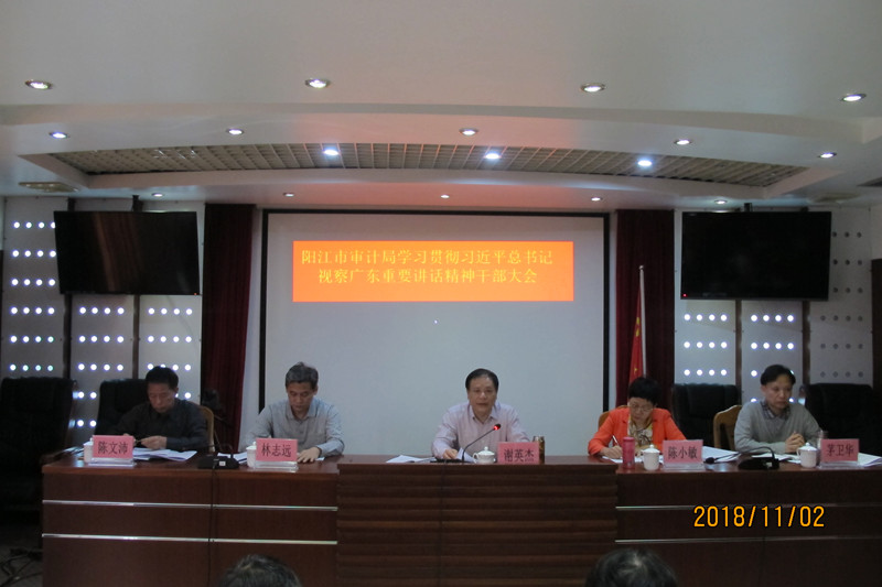 阳江市审计局召开全体干部职工大会传达学习贯彻习近平总书记视察广东重要讲话精神_副本.jpg