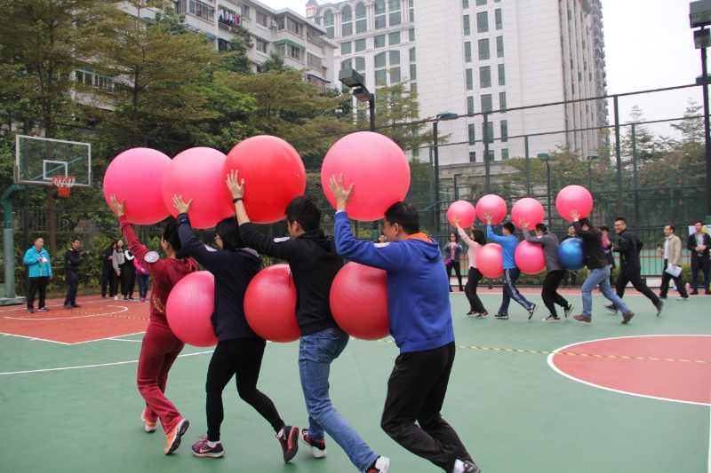省审计厅举行2019年机关小型运动会3.jpg