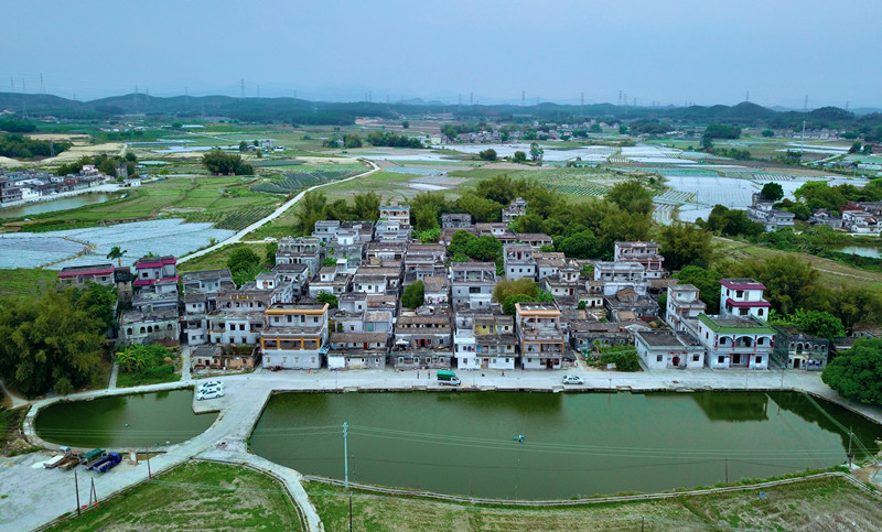 14《留住绿水青山，守护乡村风貌》江门市审计局裴文哲_副本.jpg