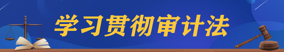 学习贯彻审计法