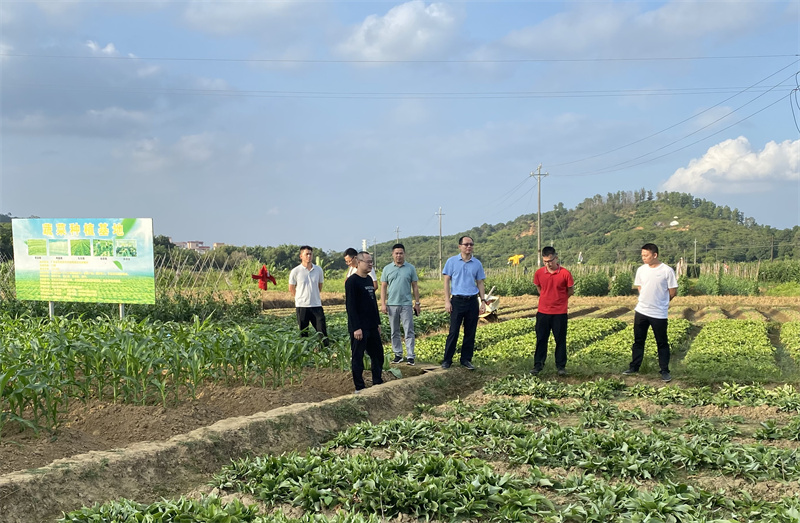 云浮市审计局农资科干部实地察看乡村振兴相关政策及资金审计项目现场.jpg