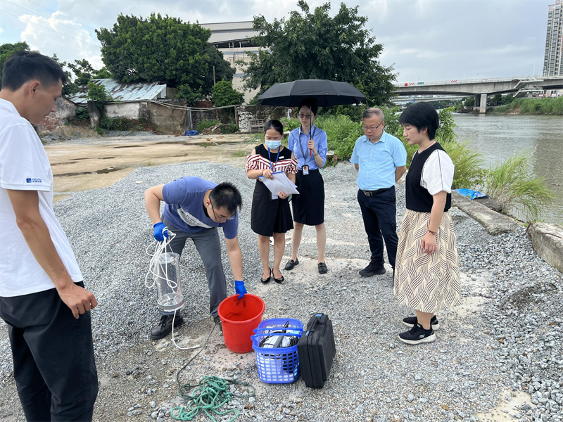 派出三处青年理论学习小组.png