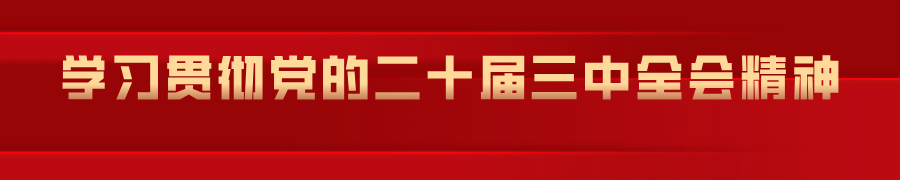 学习贯彻党的二十届三中全会精神