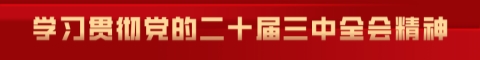 学习贯彻党的二十届三中全会精神