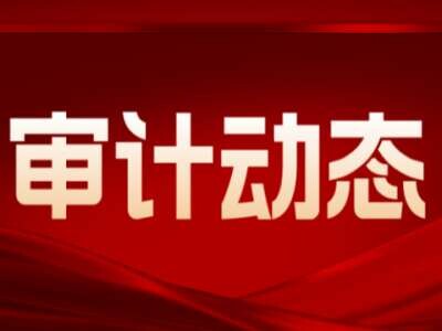 提升审计监督质效 护航经济社会发展——各地市审计机关认真学习贯彻全省审计工作会议精神（四）