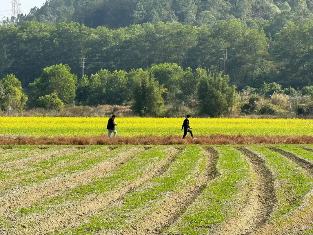 《守护这片田》