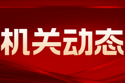 省审计厅党组传达学习贯彻落实党的二十届四中全会精神