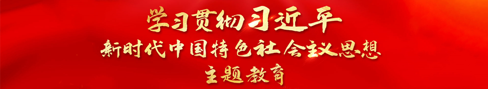 学习贯彻习近平新时代中国特色社会主义思想主题教育