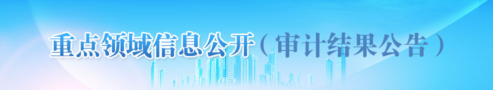 重点领域信息公开（审计结果公告）
